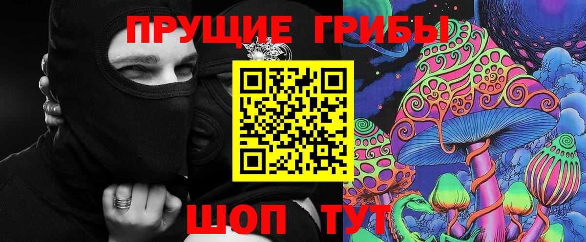 Псилоцибиновые грибы прущие грибы  Вход с VPN  Можайск  Псилоцибиновые грибы Psilocybe 