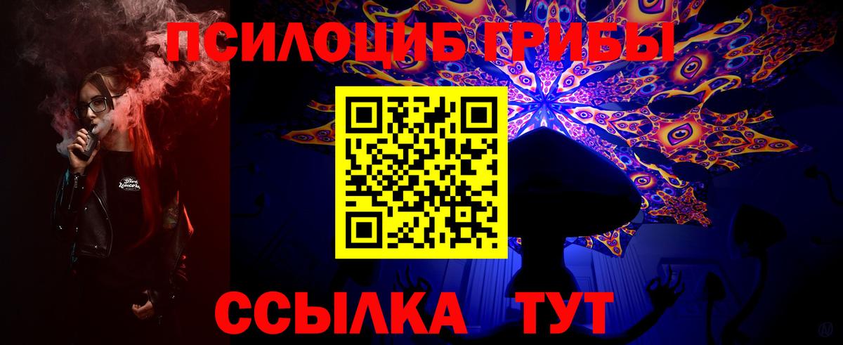 Псилоцибиновые грибы Cubensis Можайск